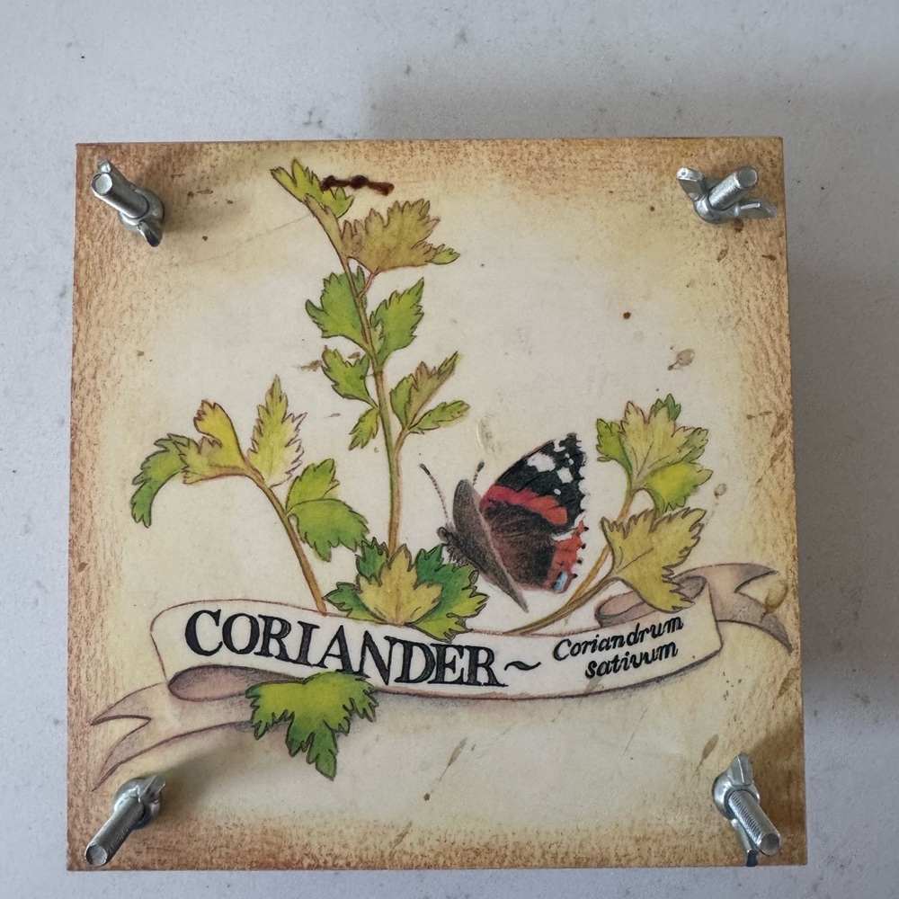 🌸 Vintage-Style Wooden Flower Press – Coriander Design 🌿